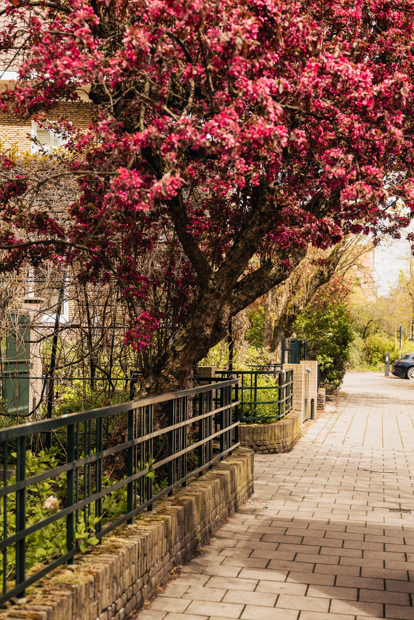 1075 AP Oranje Nassaulaan 26-13