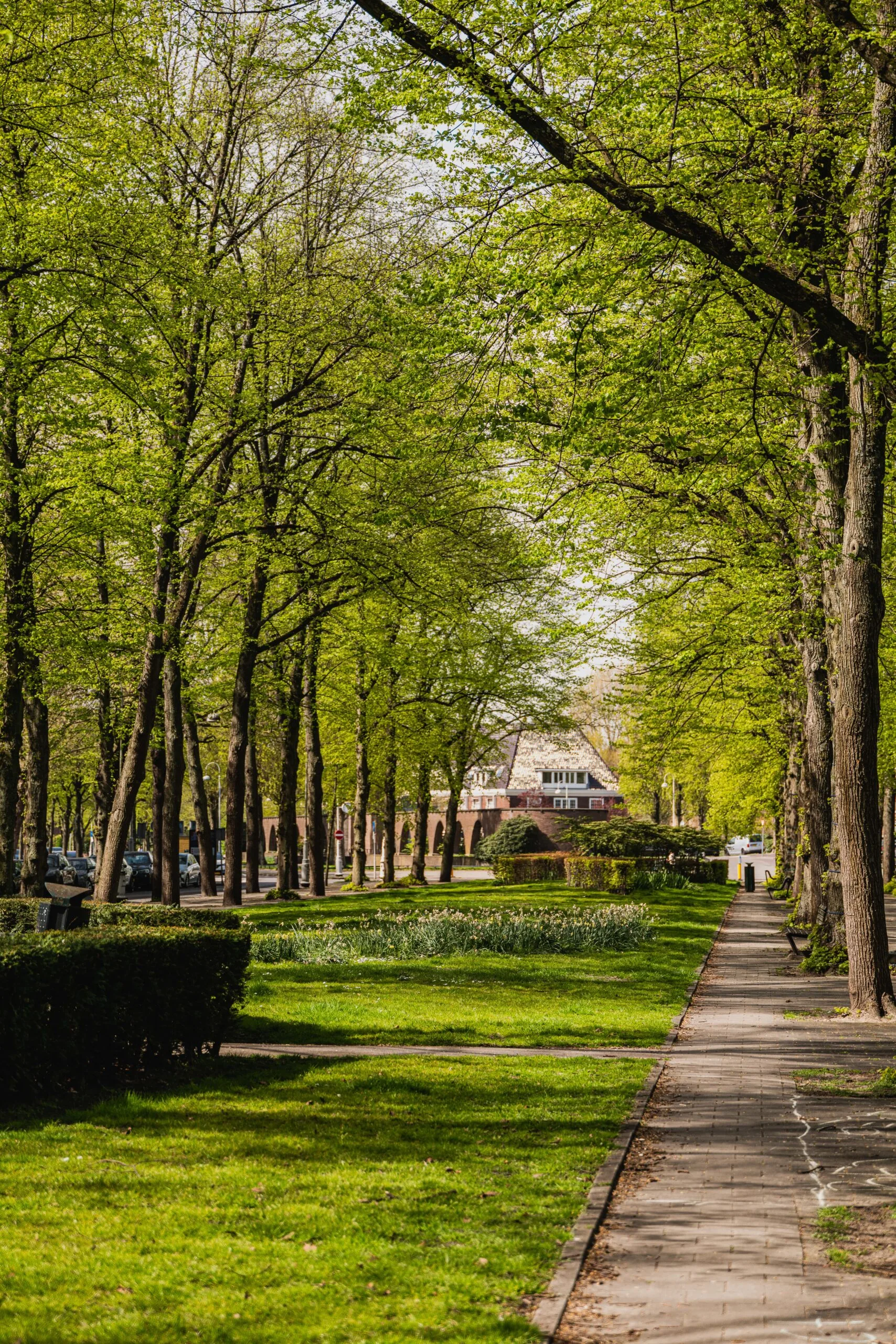 1077 BM Albert Hahnplantsoen 21-14-min