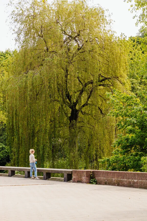 1077 KK Cornelis Dopperkade 3 I-54