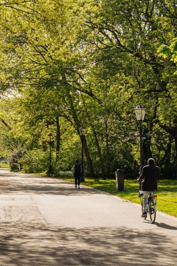 1091 VJ Vrolikstraat 70 II-311