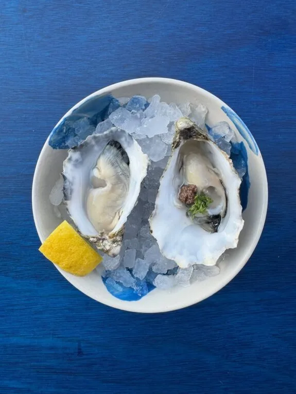 544108573_17859169791484141_491320977609302673_n