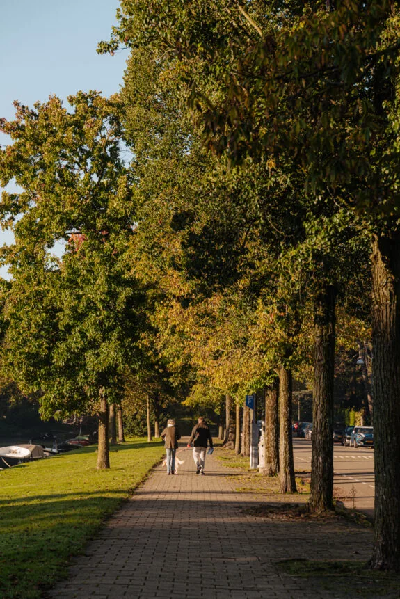 Bernard Zweerskade 10-5