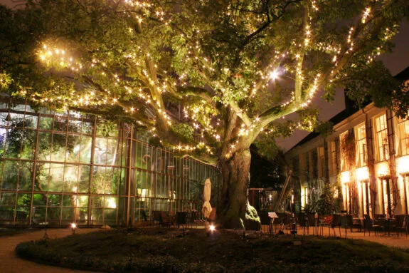 Hortus-By-Light-940x270_v2