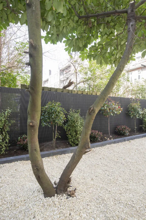 Scheldestraat 10 (108)