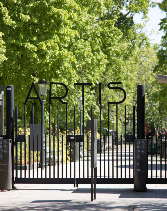 Buurtgids (rondom) De Plantagebuurt