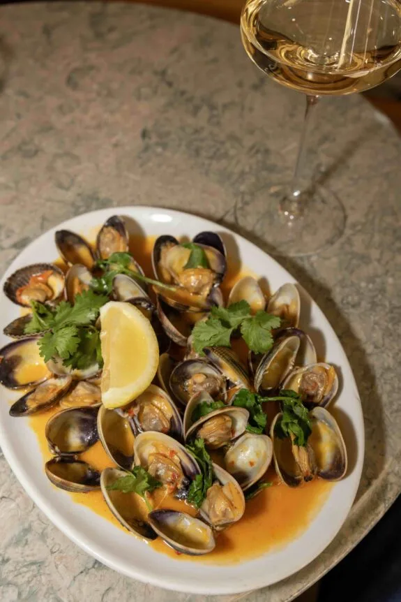 shortlist-amsterdam-Schelpjes Parlotte