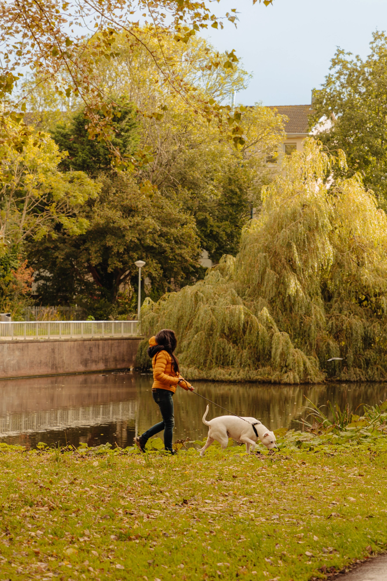 AM101759-1938399-Jan-de-Jonghkade-63,-Amsterdam-203276647