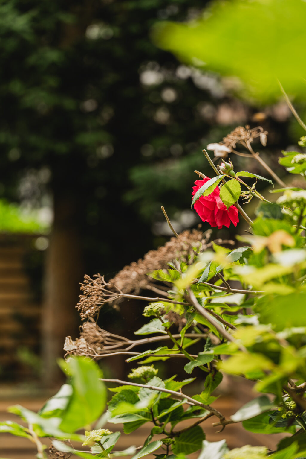 Johannes Verhulststraat 91huis, Amsterdam - Afbeelding 44
