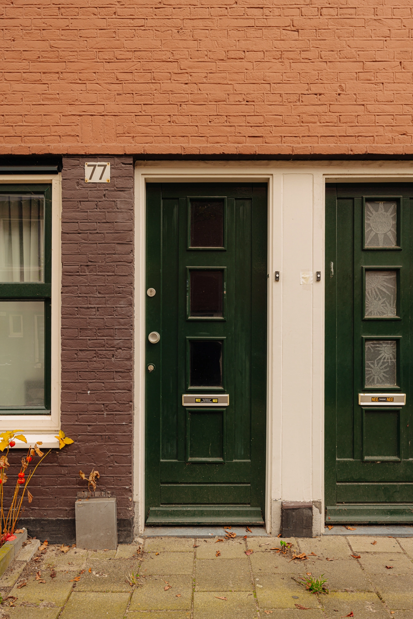 AM103236-2106703-Aurikelstraat-77,-Amsterdam-254058952