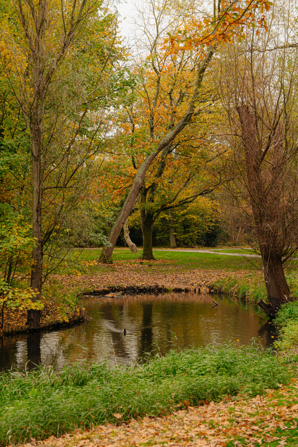 Aurikelstraat 77, Amsterdam - Afbeelding 8