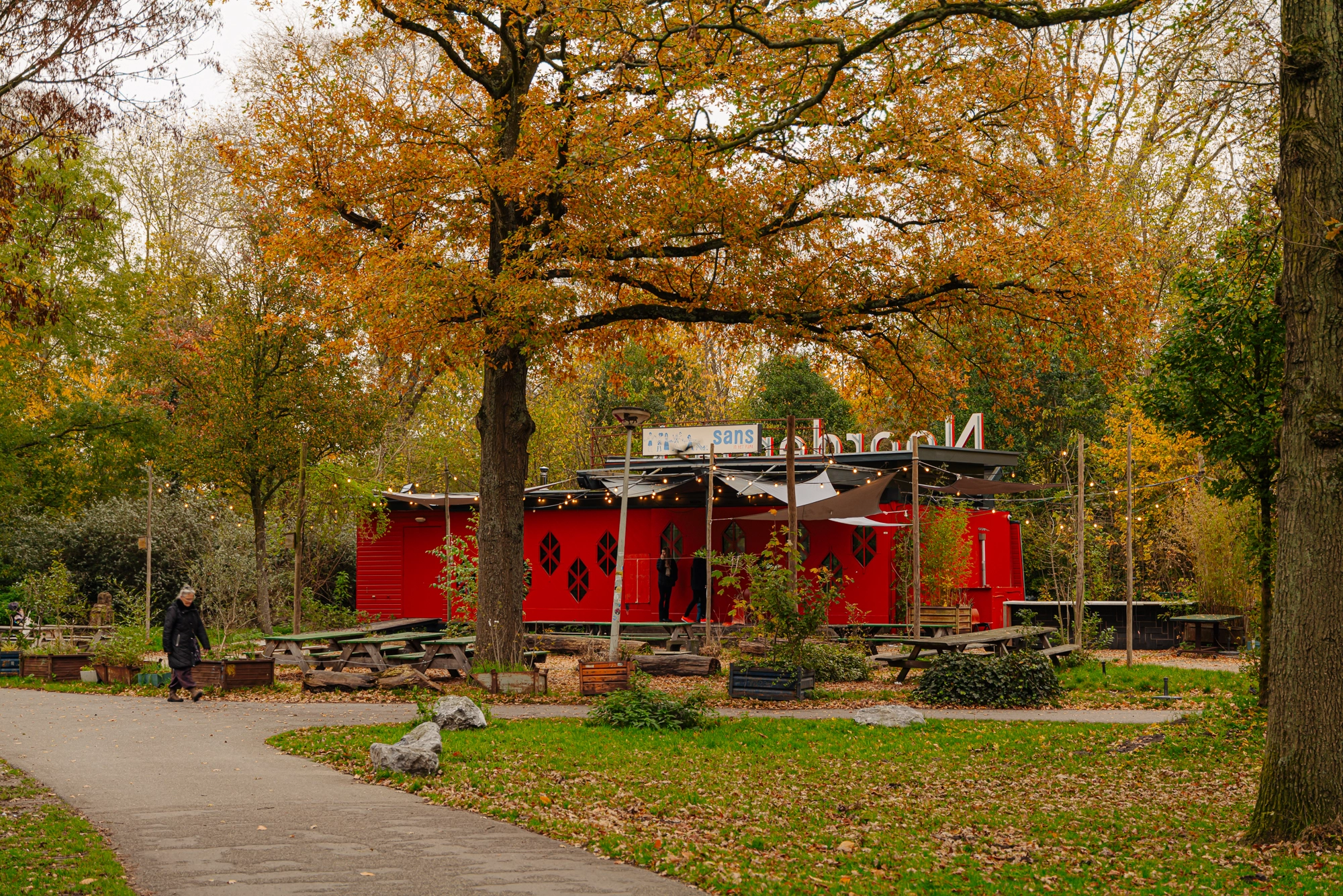 AM103236-2106703-Aurikelstraat-77,-Amsterdam-254059022