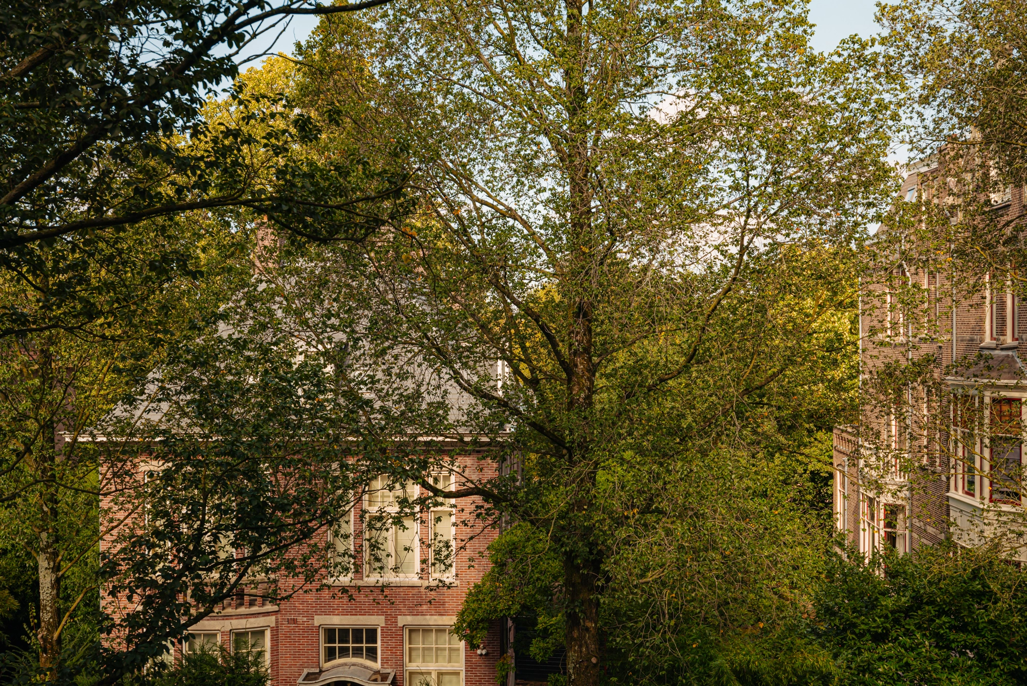 AM103271-2068363-Van-Eeghenstraat-127B,-Amsterdam-246608164