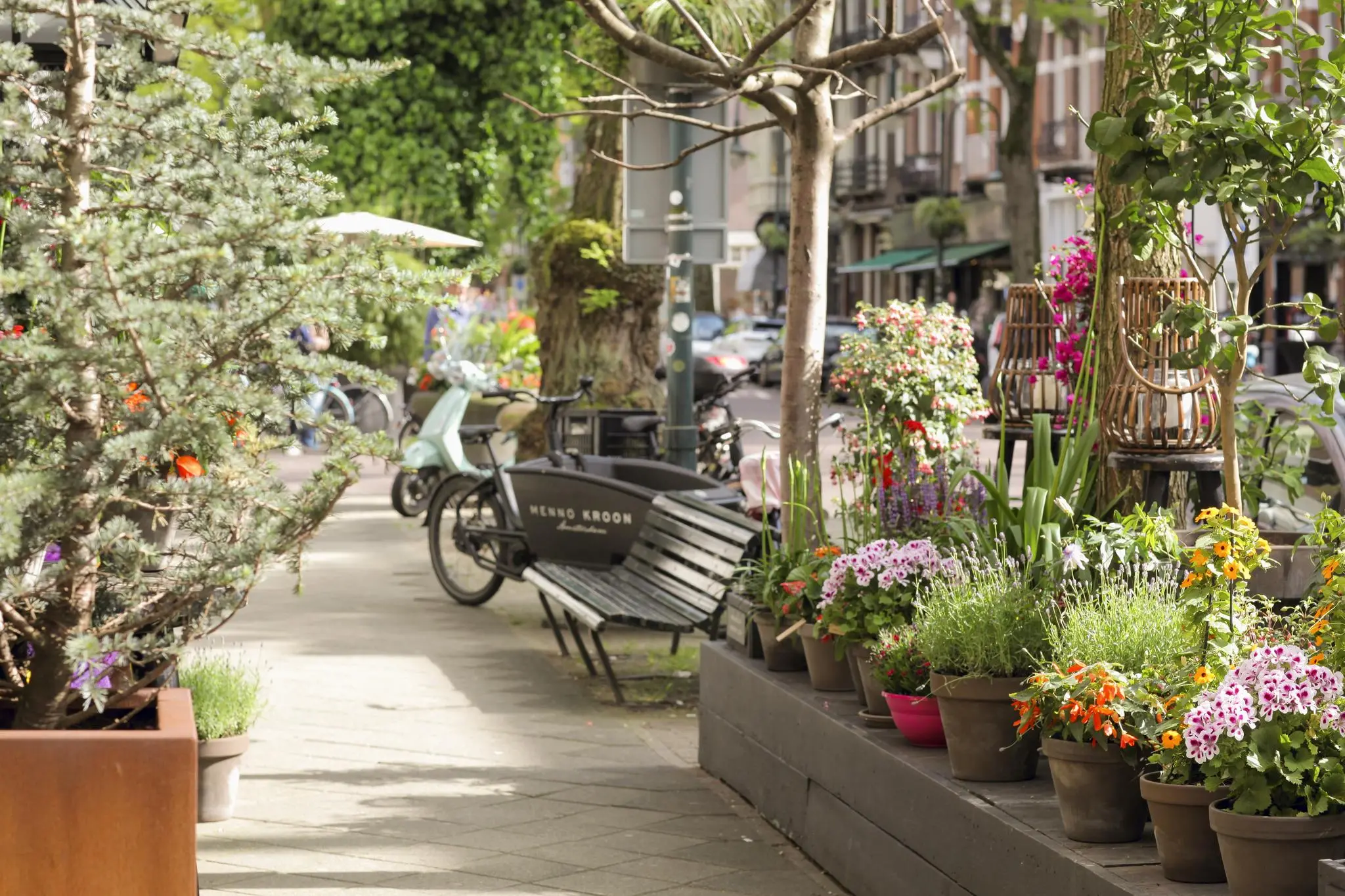 AM103410-1766424-Cornelis-Schuytstraat-51-3,-Amsterdam-141974552