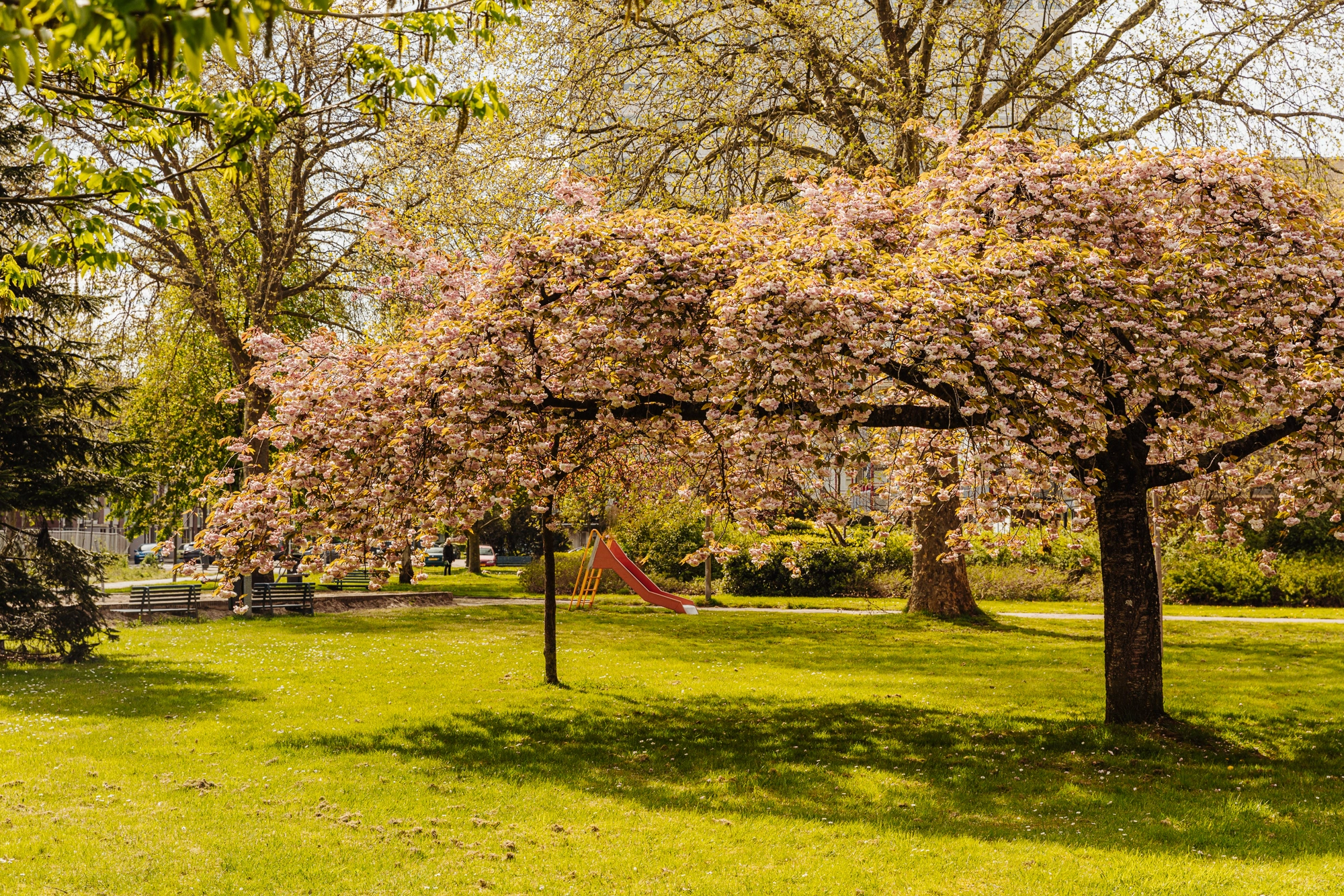 AM104322-1764448-Beysterveld-33,-Amsterdam-141542515