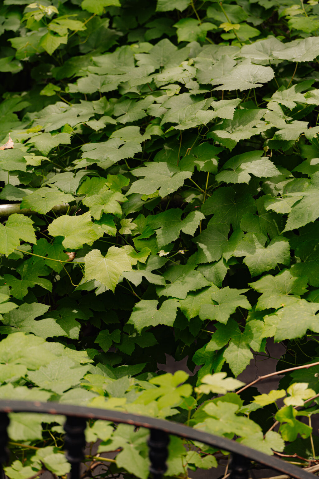 Van Eeghenstraat 39H, Amsterdam - Afbeelding 152