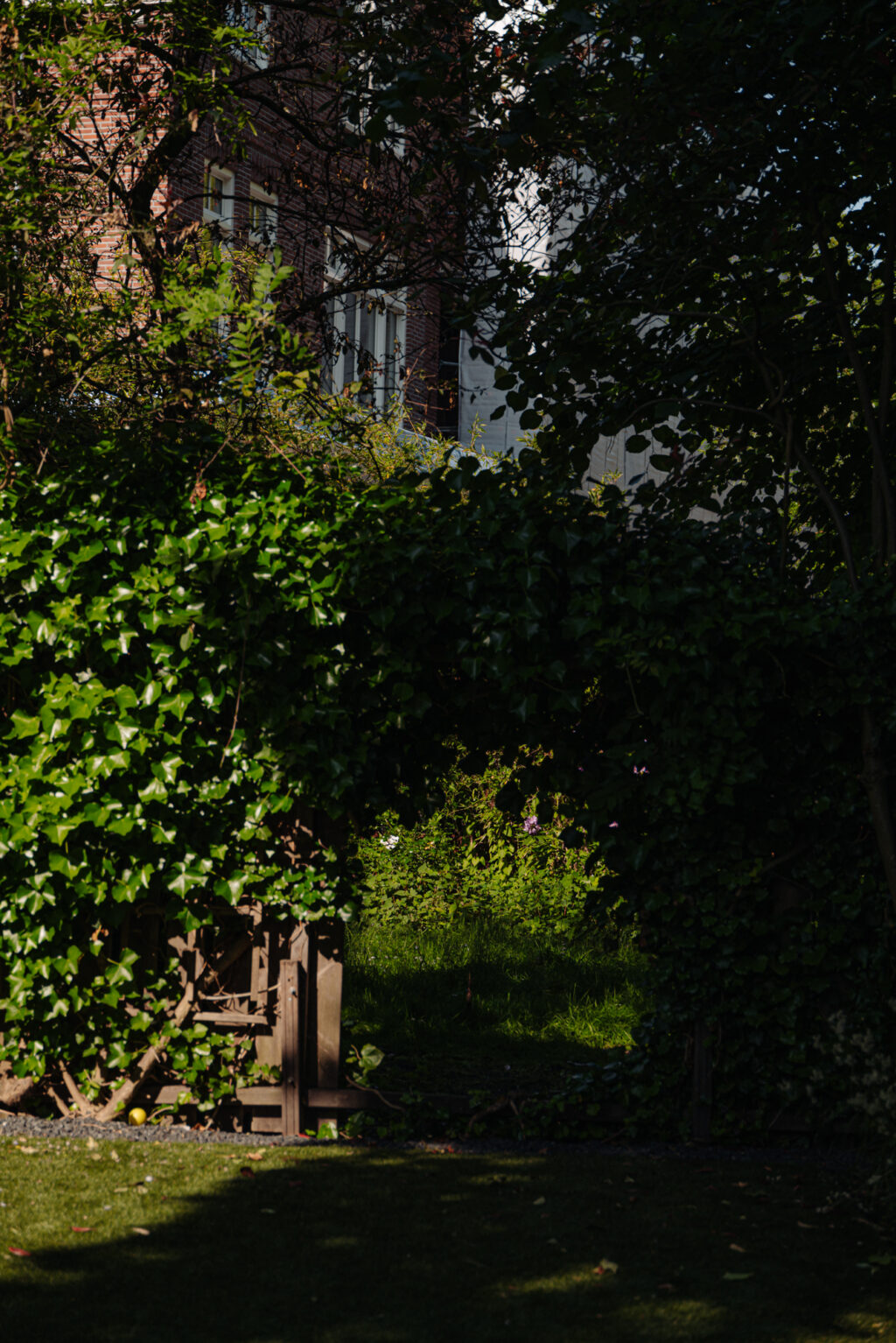 Prins Hendriklaan 49A, Amsterdam - Afbeelding 21