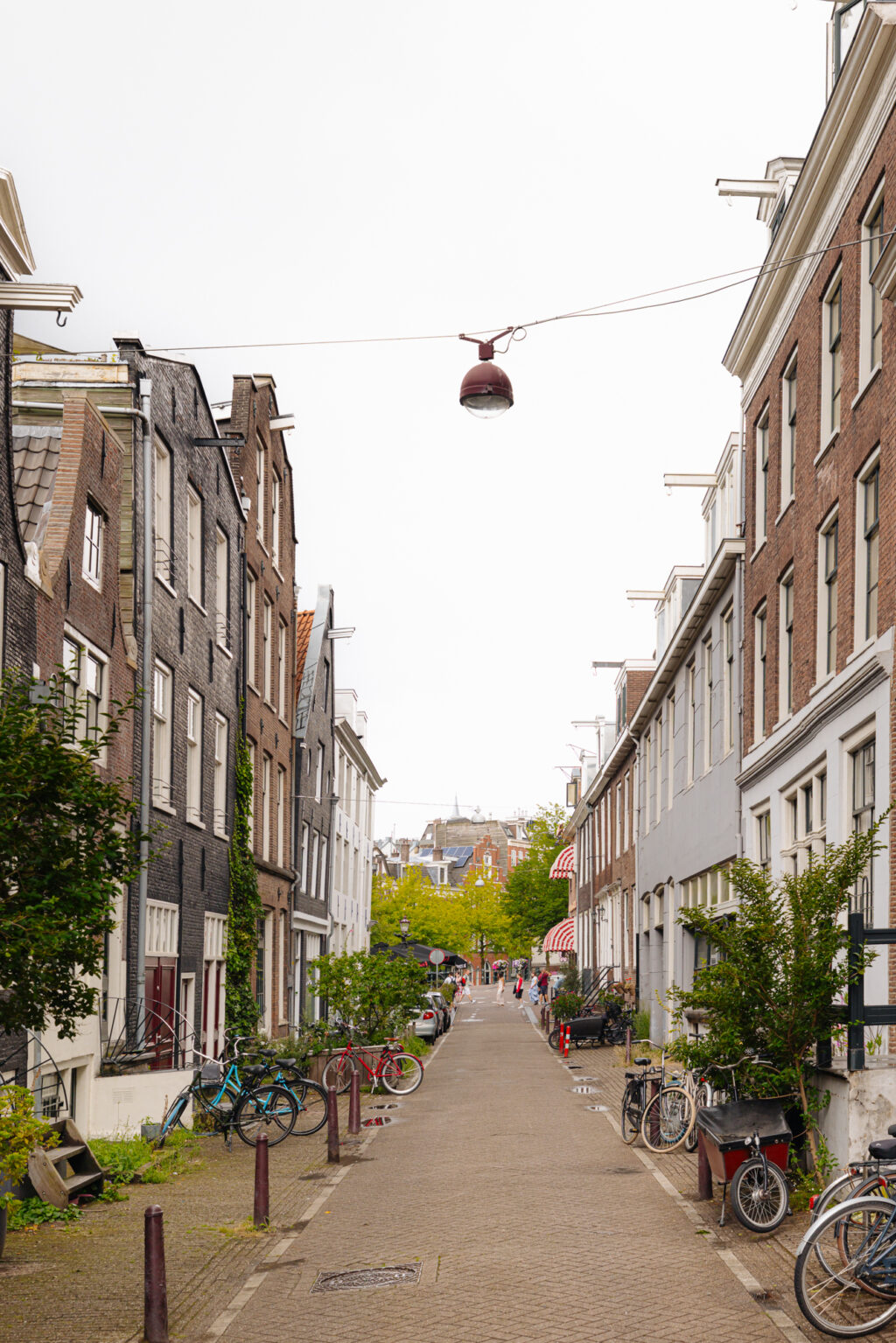 Tweede Weteringdwarsstraat 12H, Amsterdam - Afbeelding 50