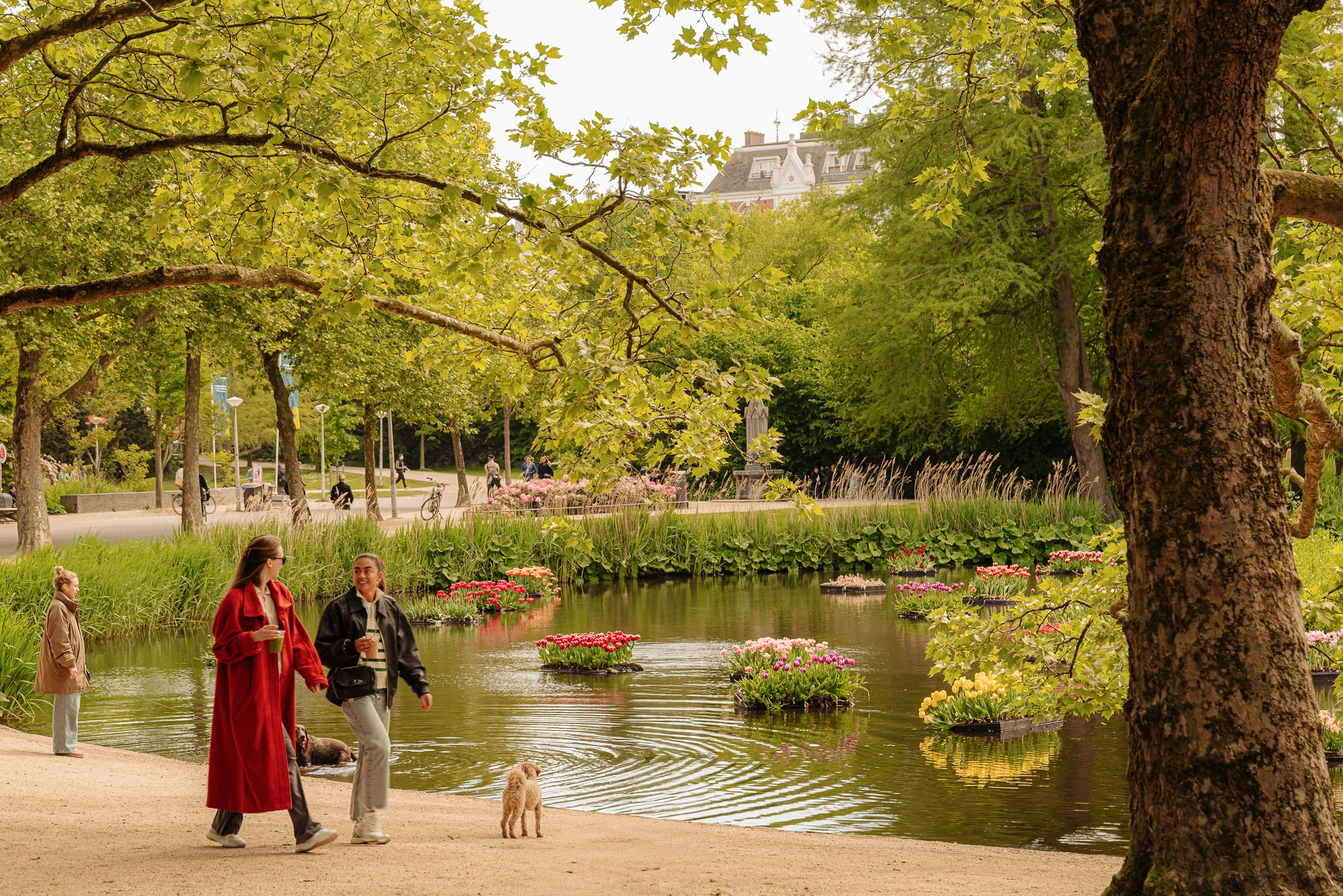 AM104954-1836979-Valeriusplein-9B-2,-Amsterdam-232619022