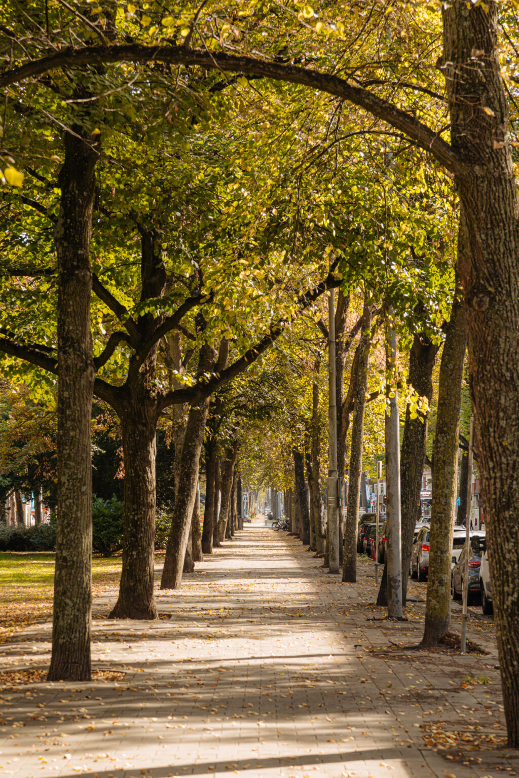 Deurloostraat 121-2, Amsterdam - Afbeelding 42