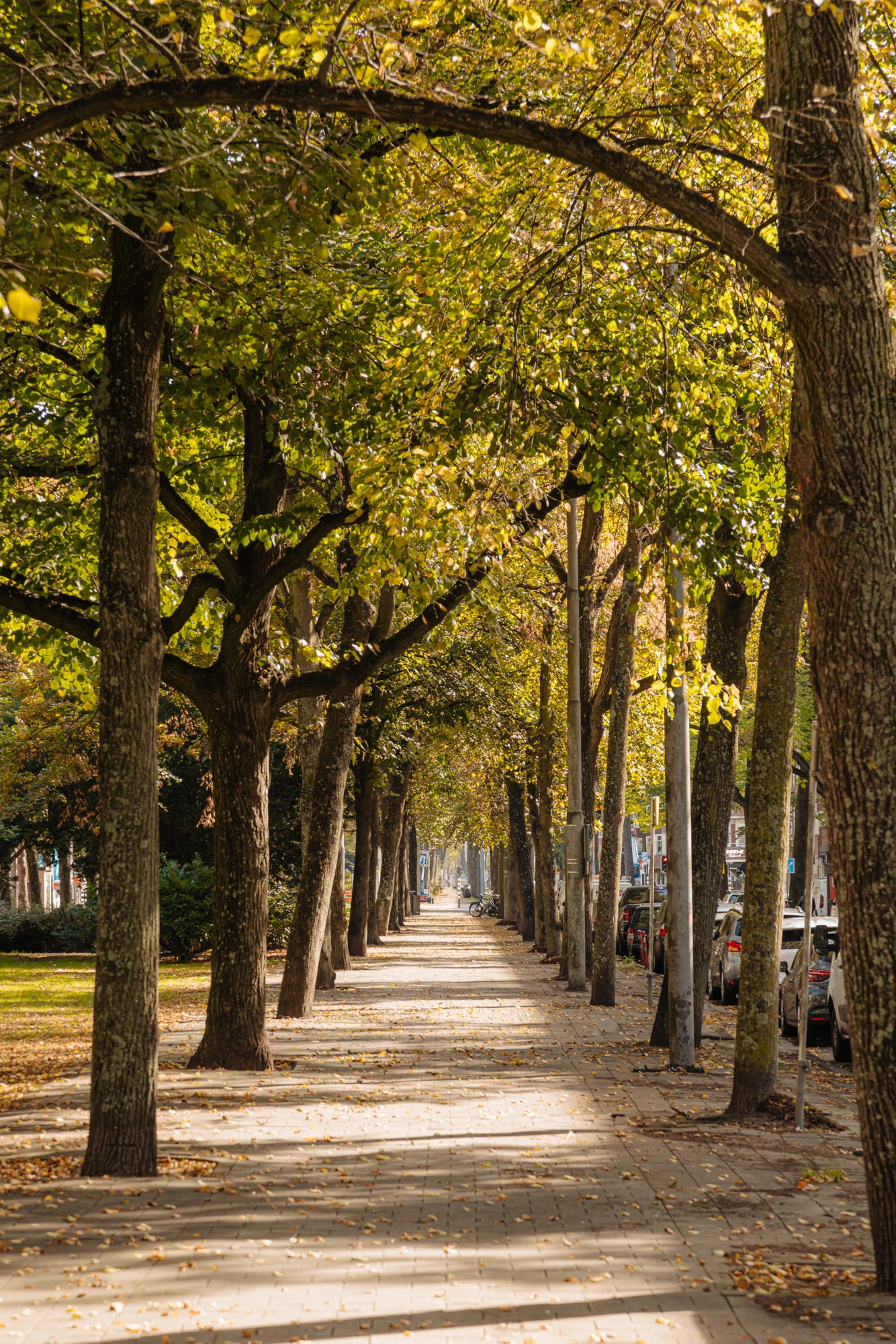 AM104974-2070969-Deurloostraat-121-2,-Amsterdam-246937618