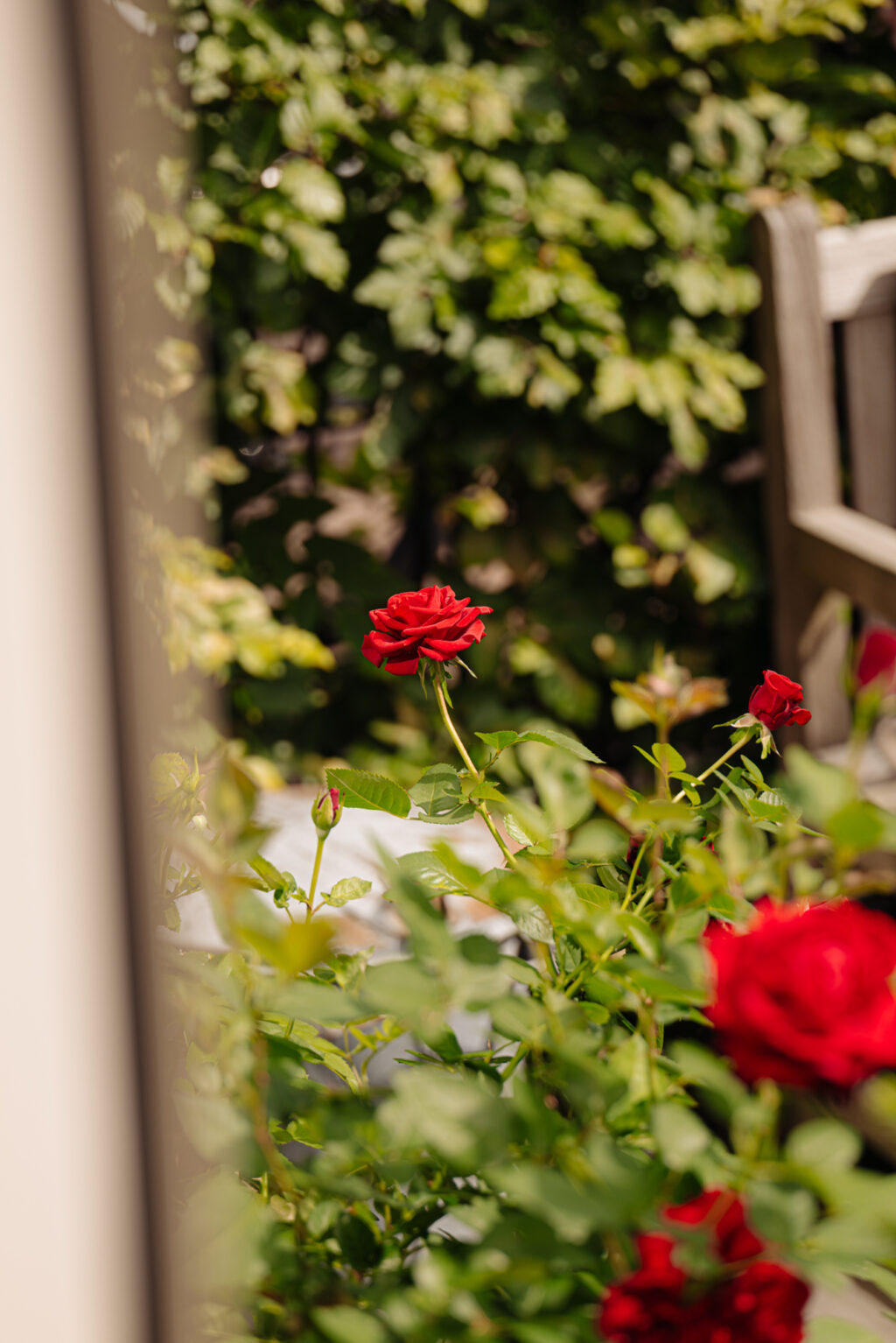 Narva-eiland 85, Amsterdam - Afbeelding 23