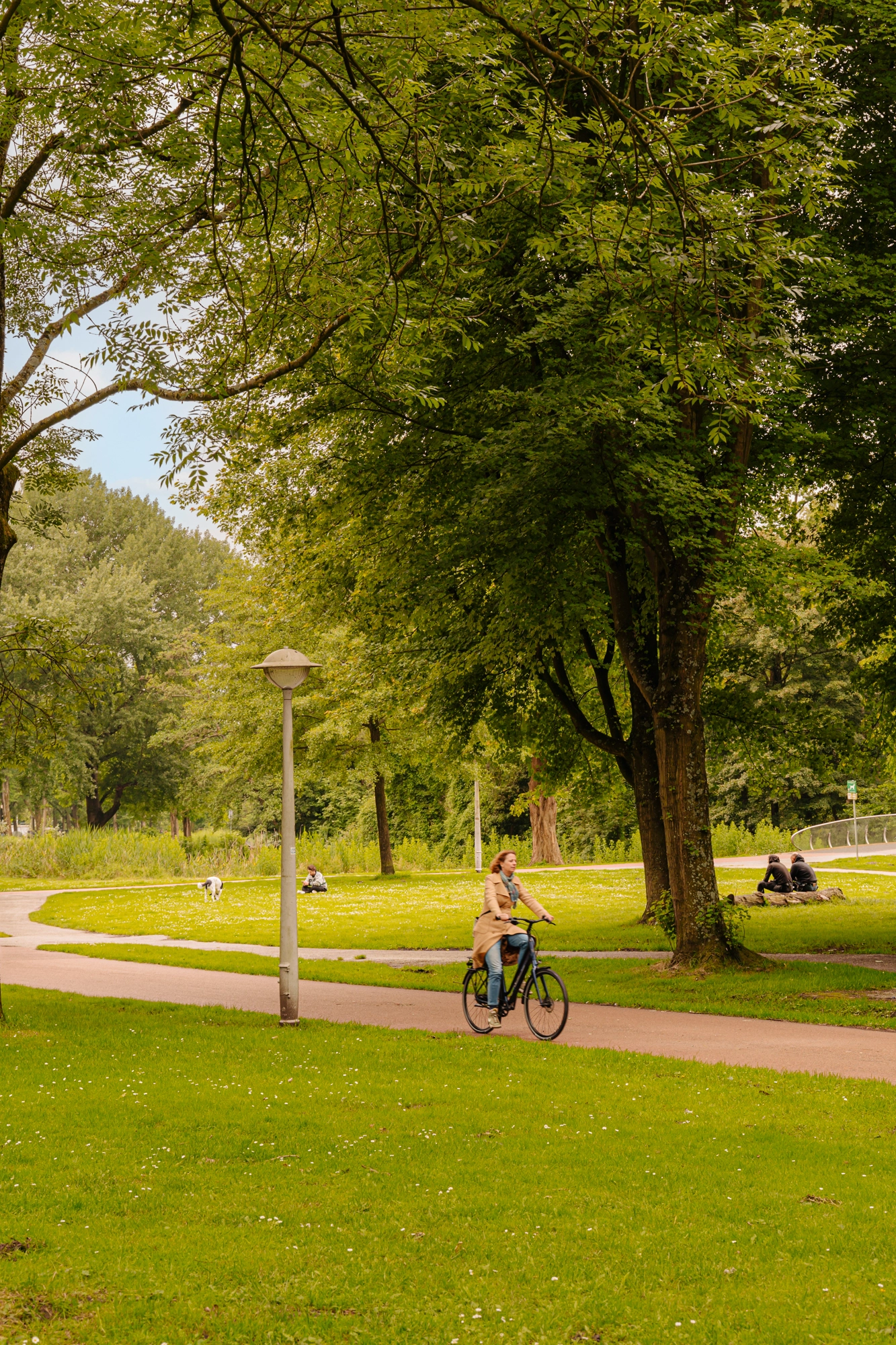 AM105145-2014706-Orteliuskade-65-1,-Amsterdam-231015938