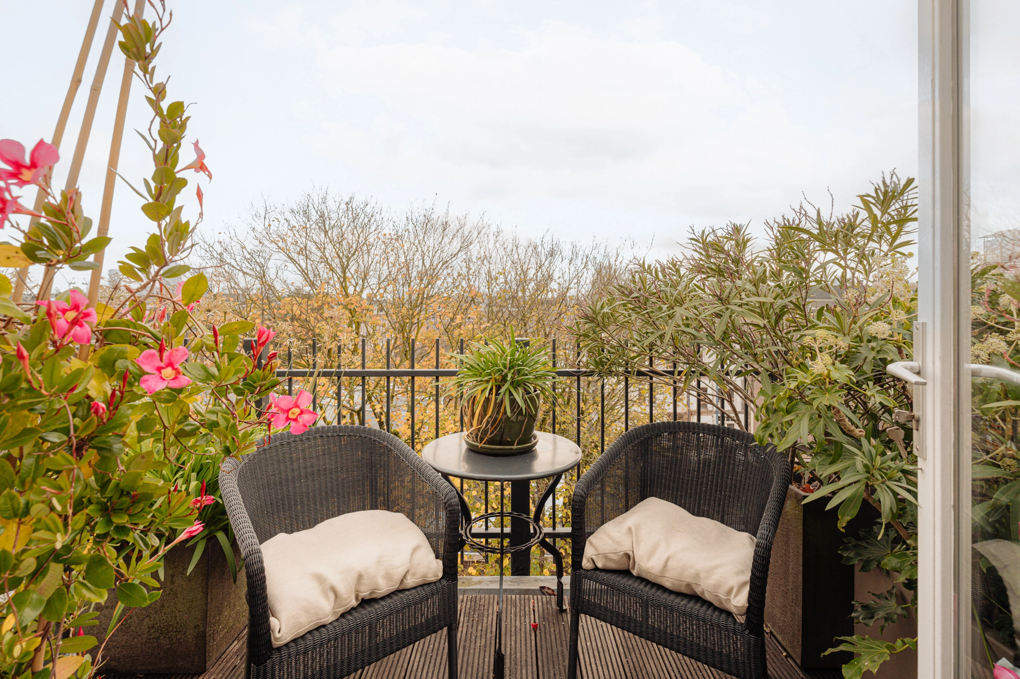 AM105147-2107064-Sarphatipark-122-2,-Amsterdam-254269438