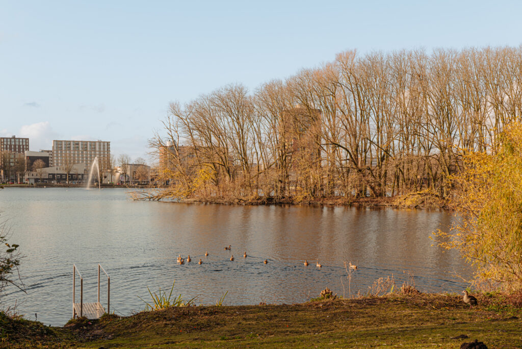 J. de Koostraat 8, Amsterdam - Afbeelding 53