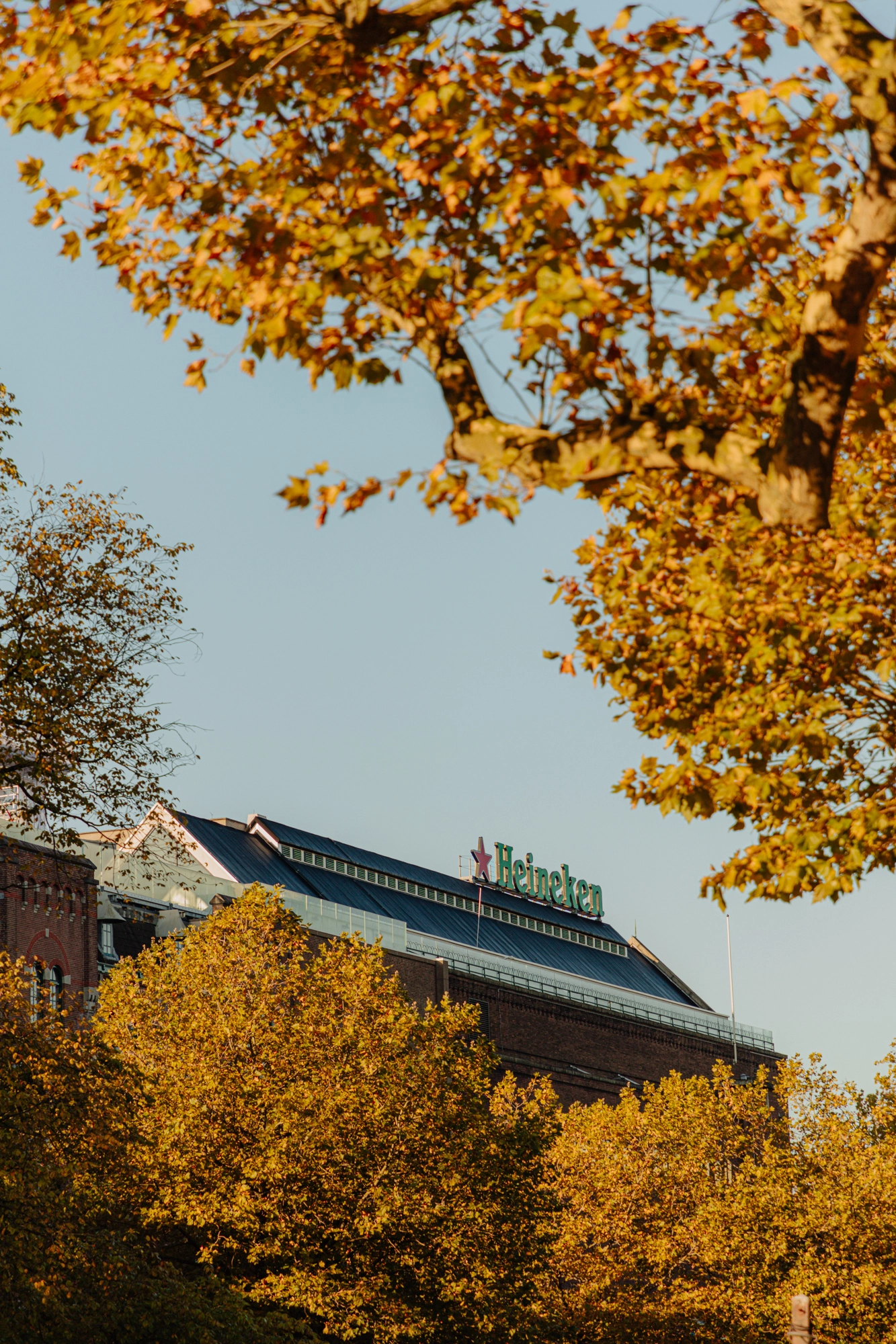 AM105390-1933884-Nicolaas-Witsenkade-12A,-Amsterdam-201640323