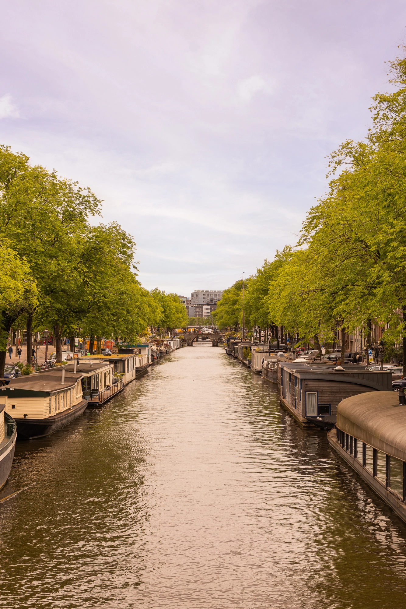 AM105417-2008973-Prinsengracht-71A,-Amsterdam-229008694