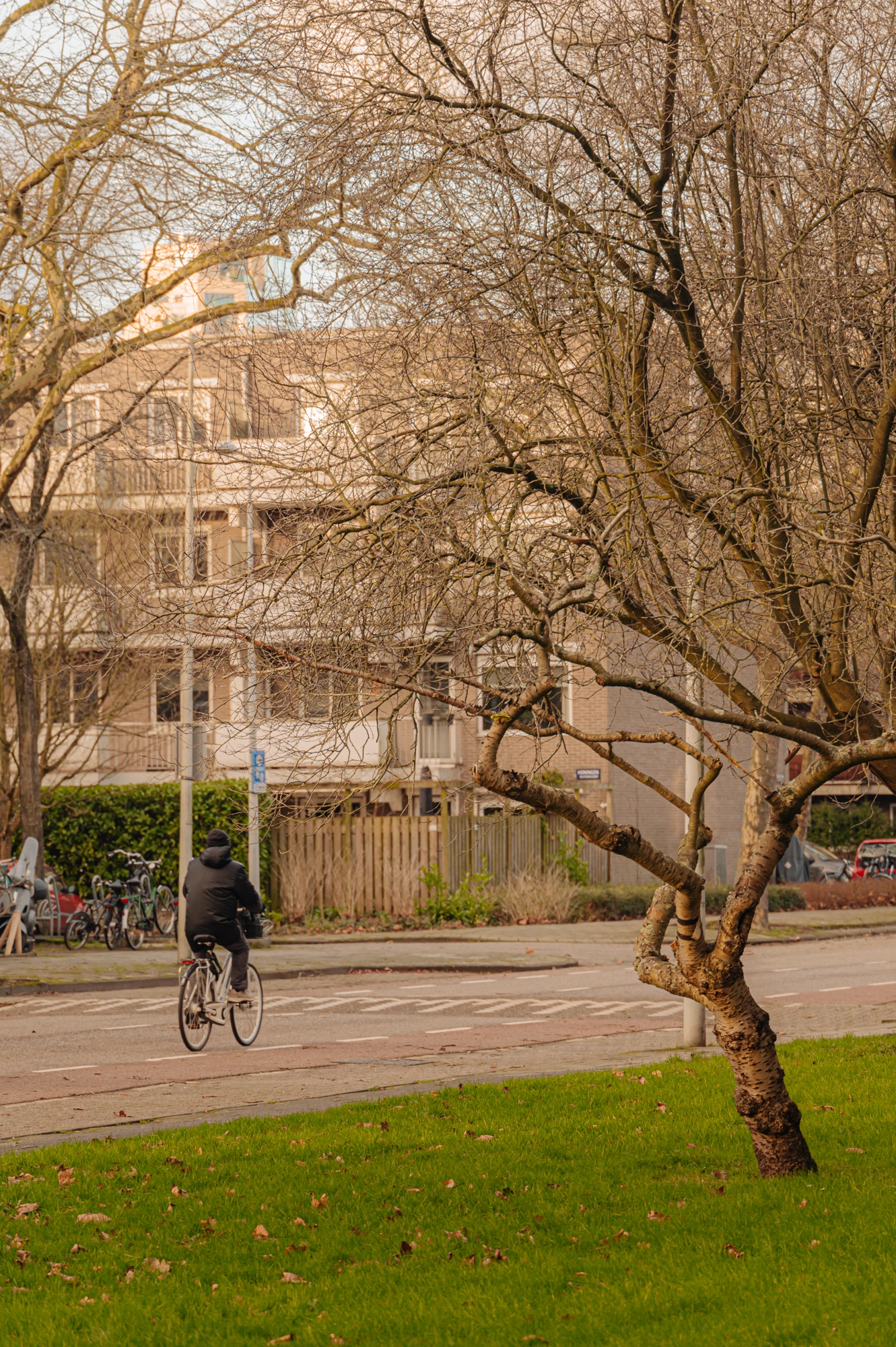 AM105478-1966166-Nedersticht-232,-Amsterdam-214064209