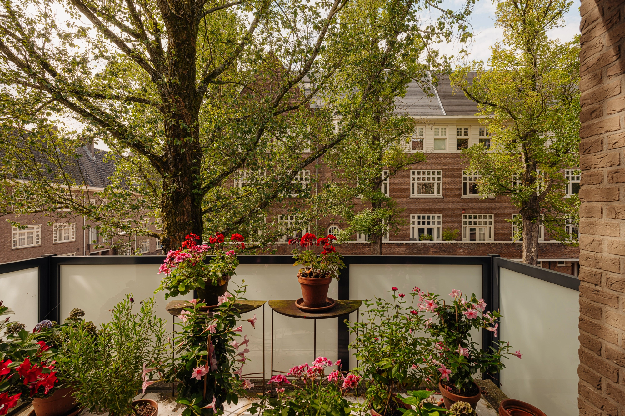 AM105539-1933765-Raphaelstraat-7,-Amsterdam-195870583