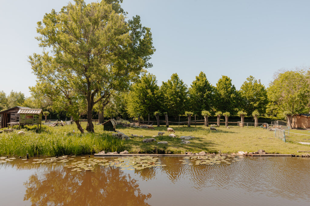 Monnickendammerrijweg 18A, Ilpendam - Afbeelding 37