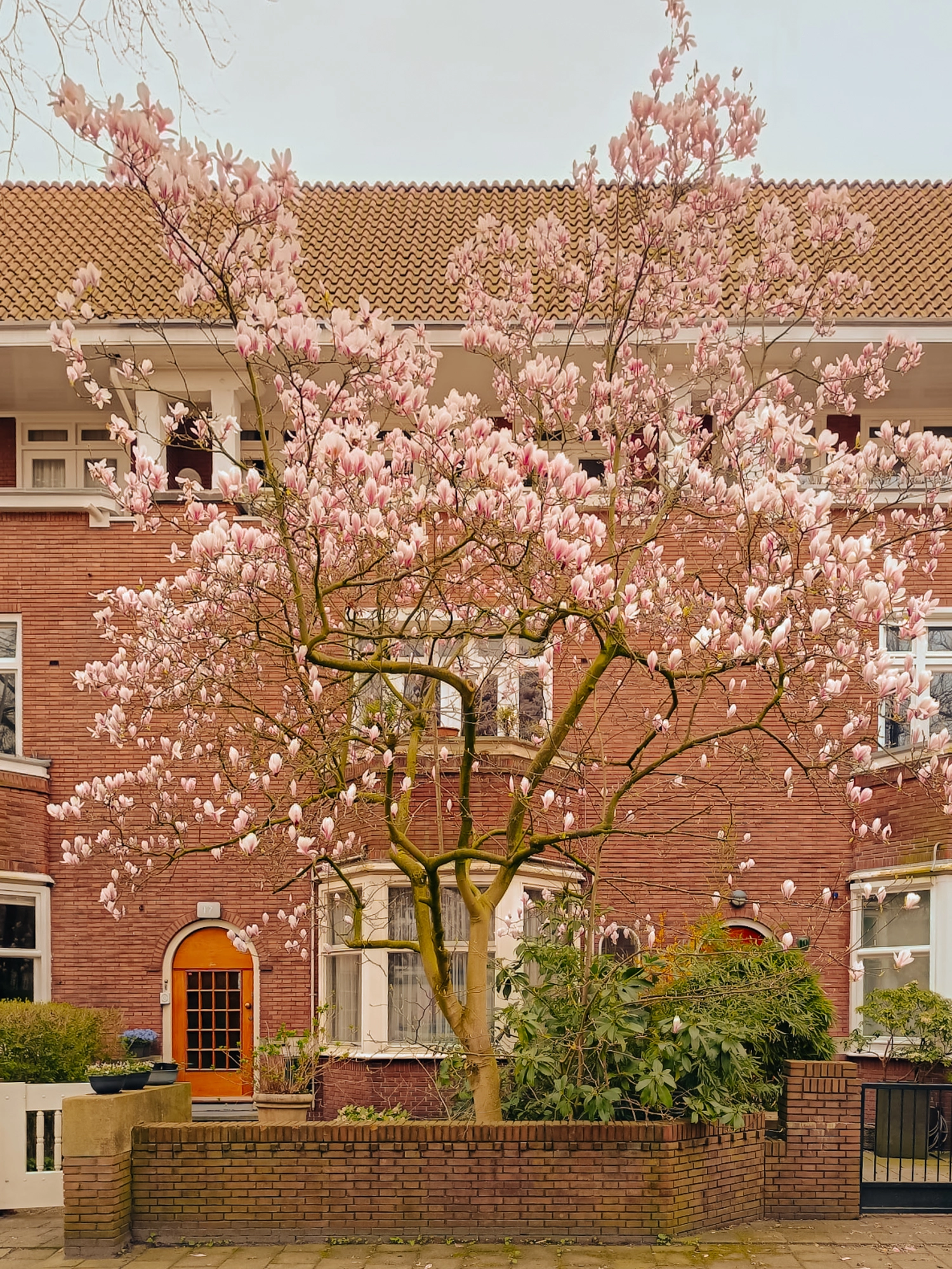 AM105694-1929662-Gerrit-van-der-Veenstraat-17,-Amsterdam-206128977