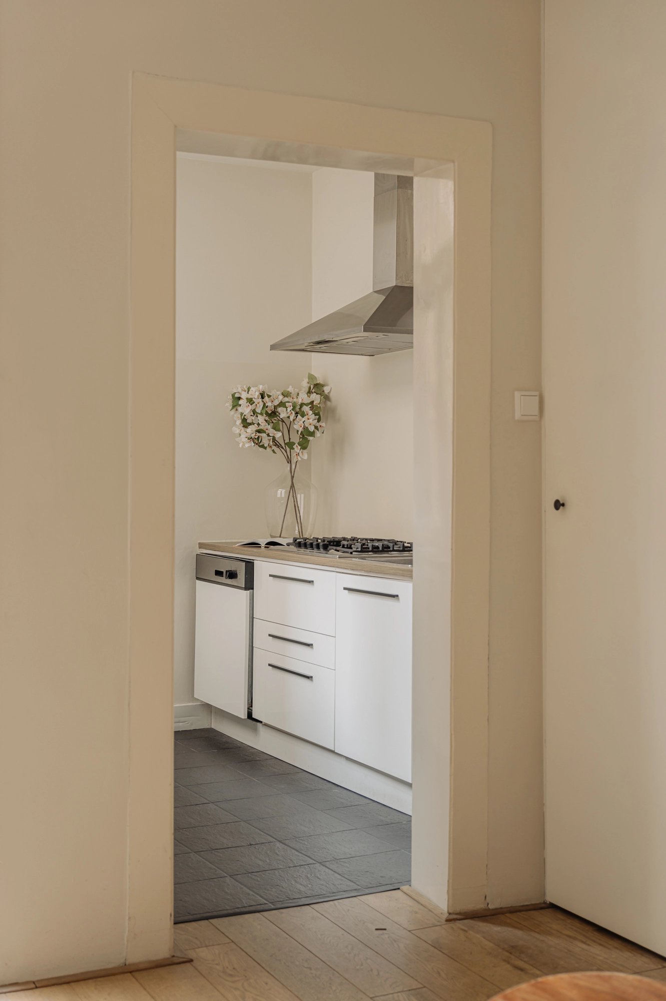 AM105722-1983244-Gerard-Doustraat-188-1,-Amsterdam-220533013