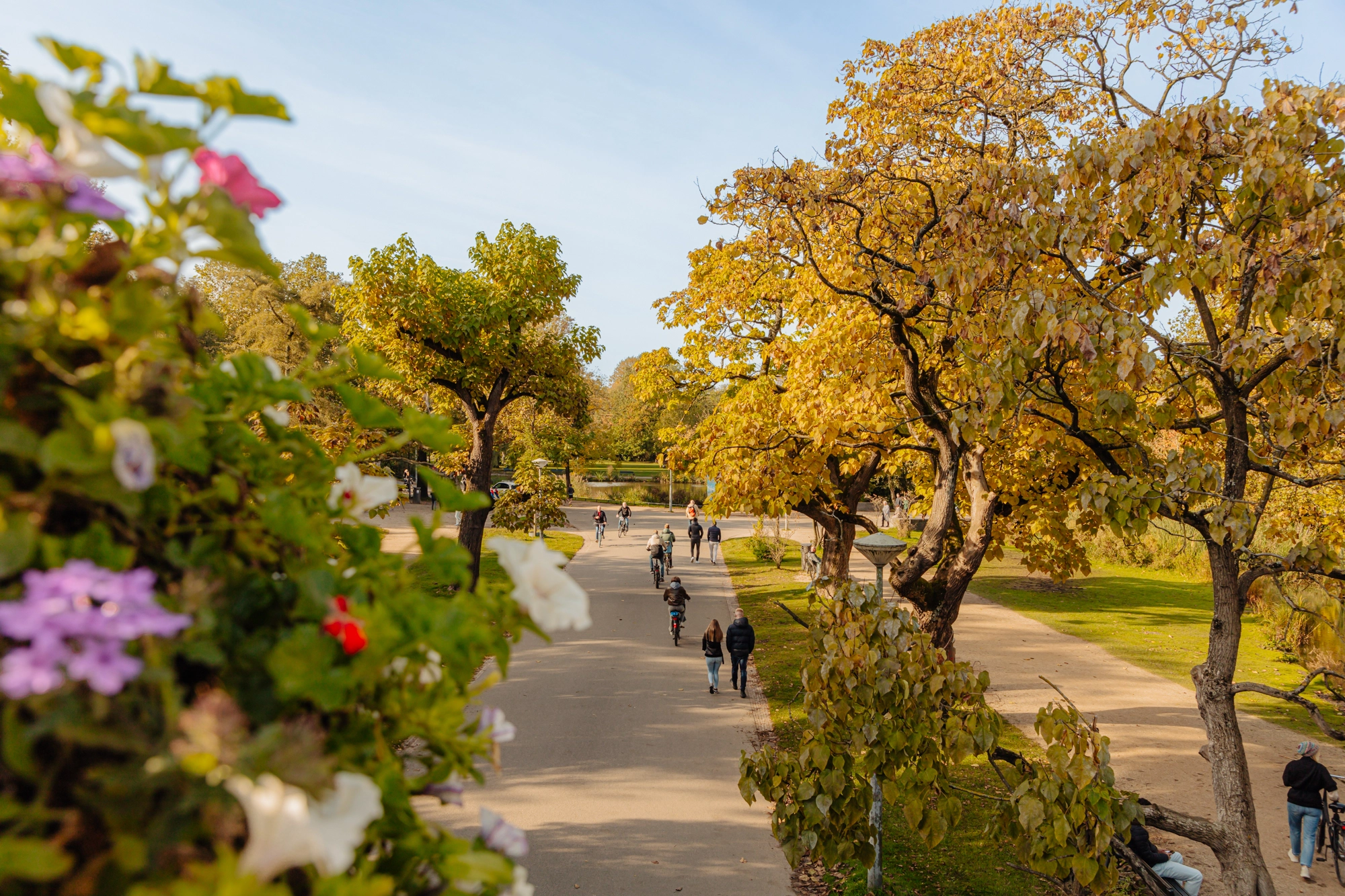 AM105772-1938033-Vondelstraat-68-2,-Amsterdam-203148803
