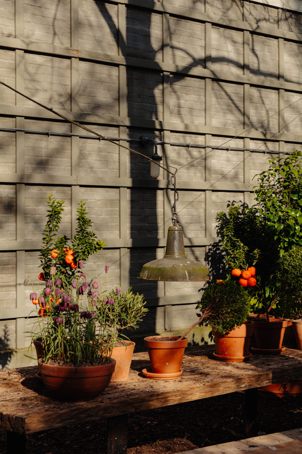 Nieuwe Herengracht 117, Amsterdam - Afbeelding 51