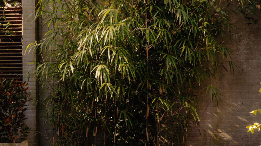 Nieuwe Herengracht 117, Amsterdam - Afbeelding 55