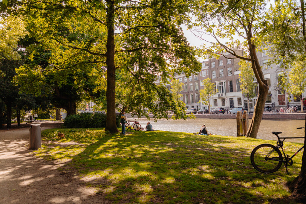 Nieuwe Herengracht 117, Amsterdam - Afbeelding 13