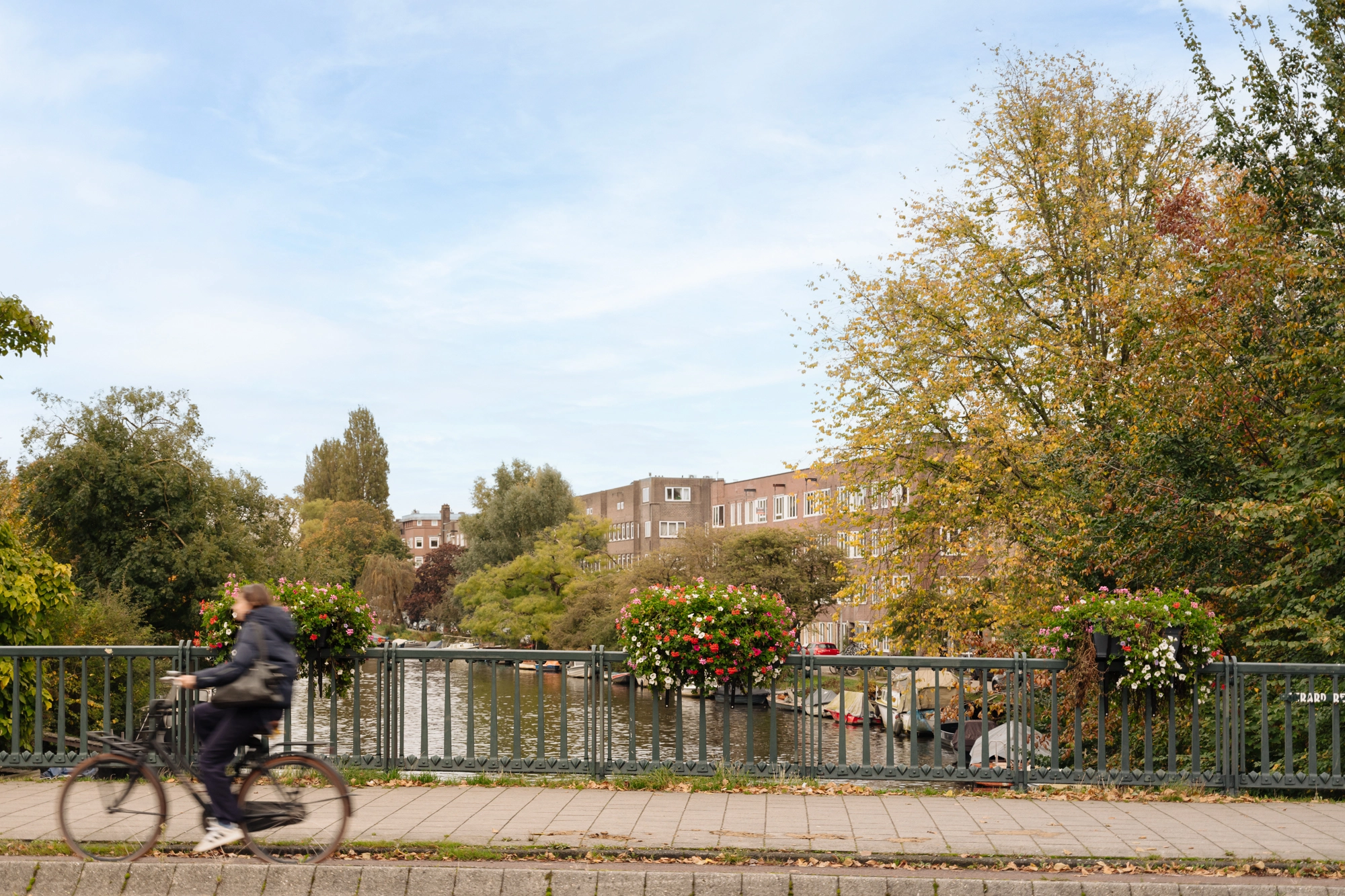 AM105781-1939797-Biesboschstraat-42-1,-Amsterdam-204147909