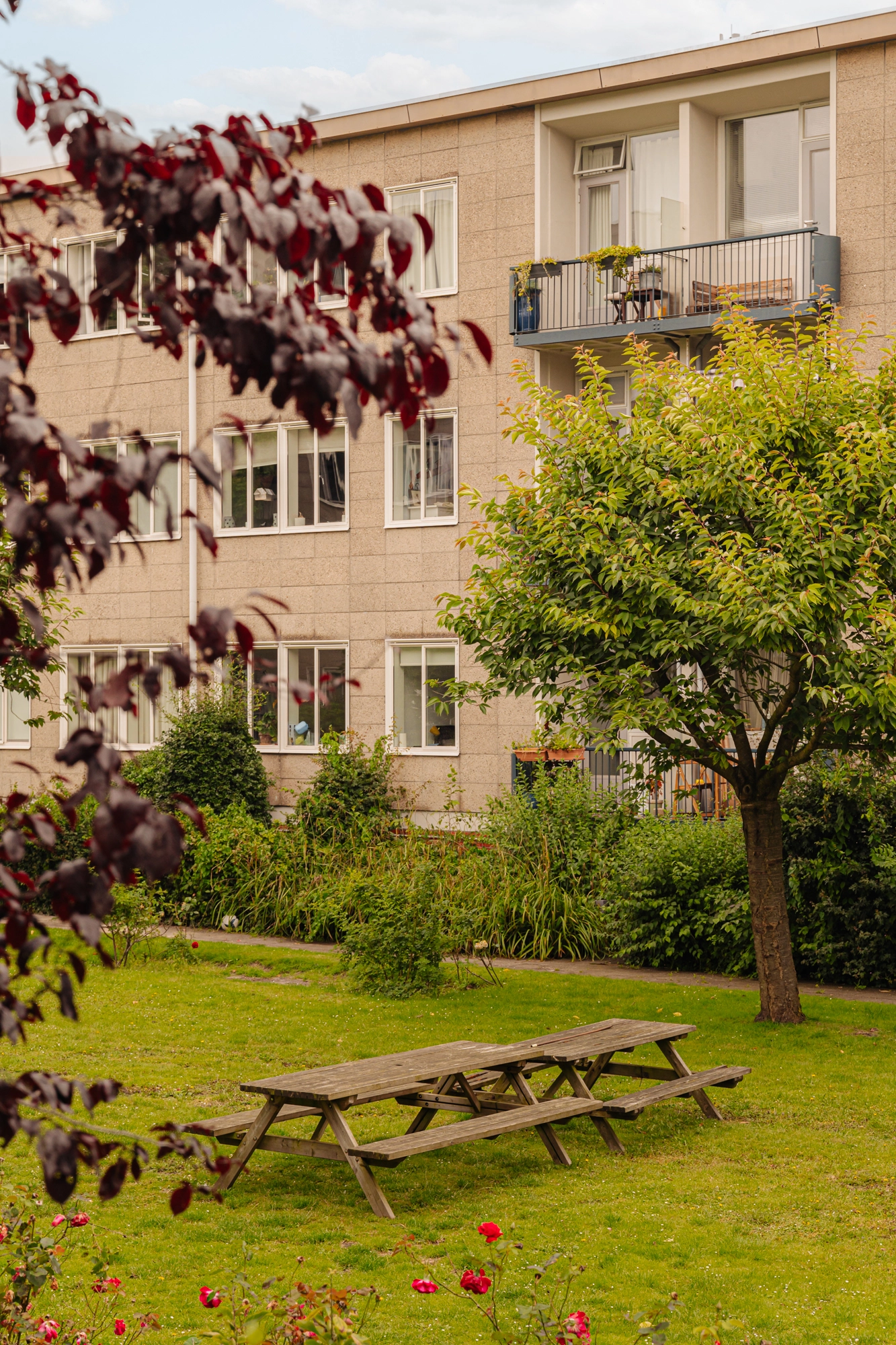 AM105783-1929067-Graafschapstraat-17H,-Amsterdam-199642111