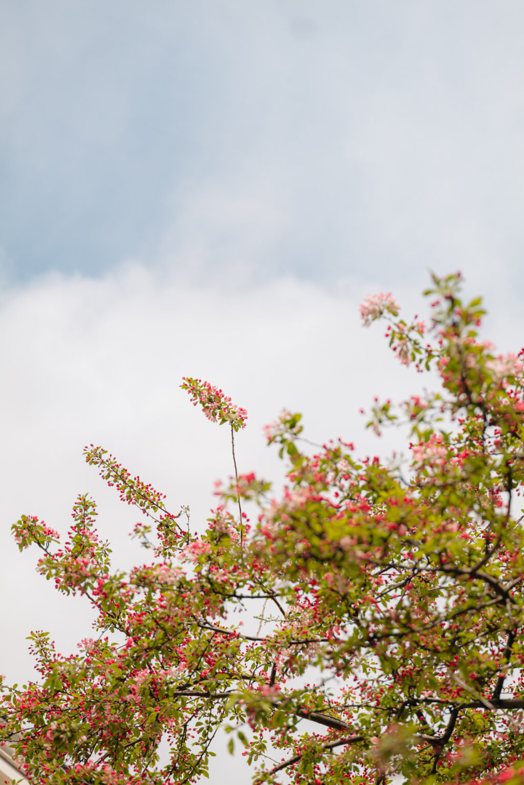 Keizersgracht 162B, Amsterdam - Afbeelding 20