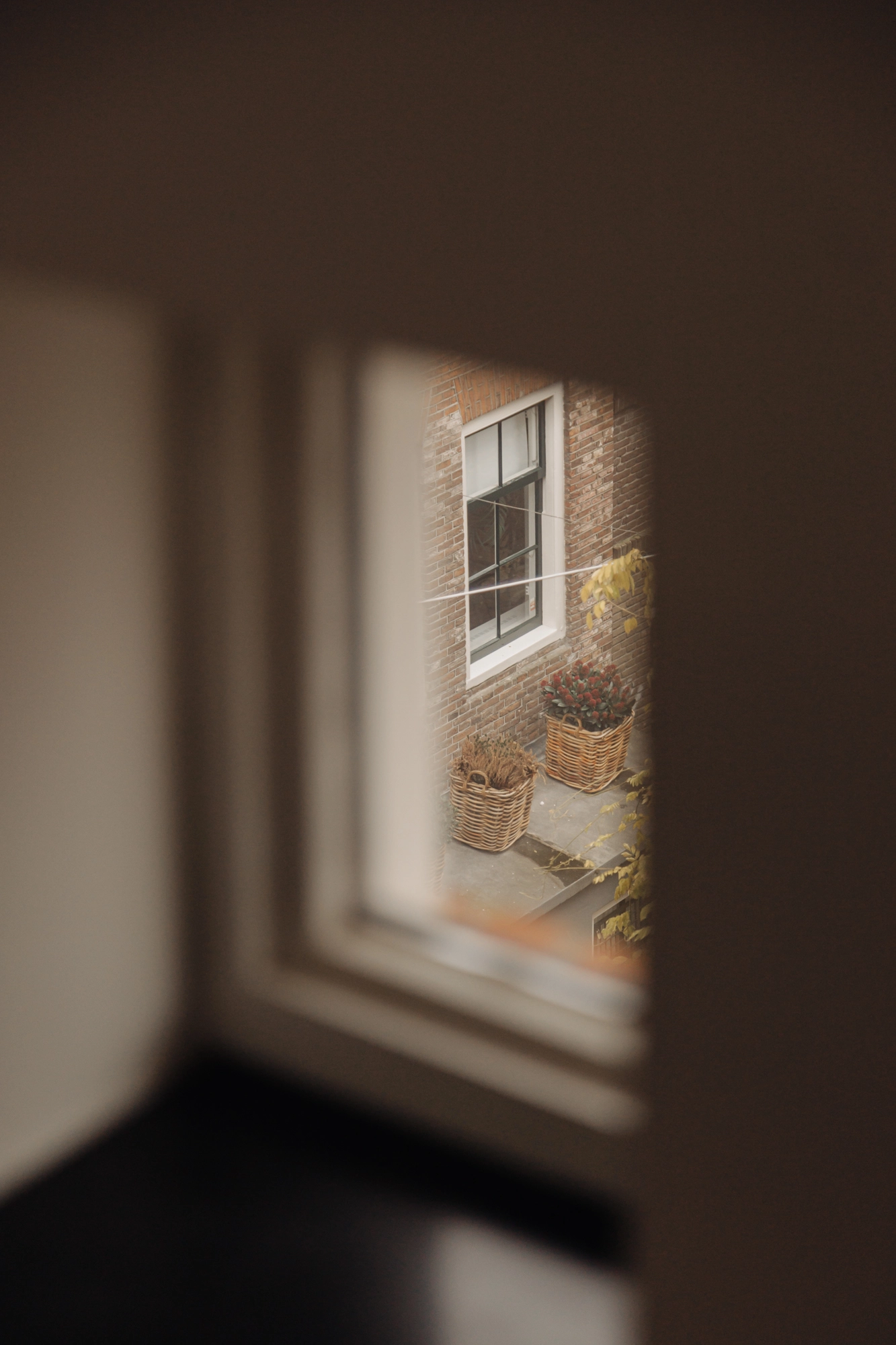 AM105816-1934573-Bloemstraat-31E,-Amsterdam-211028941