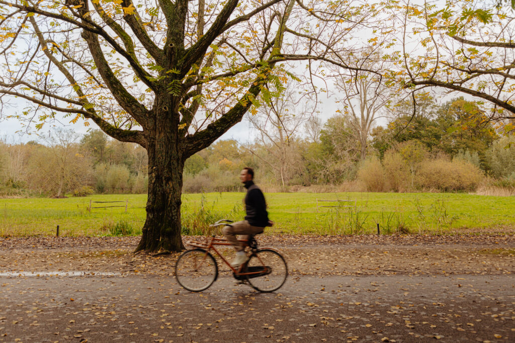 Tweede Schinkelstraat 2H, Amsterdam - Afbeelding 40