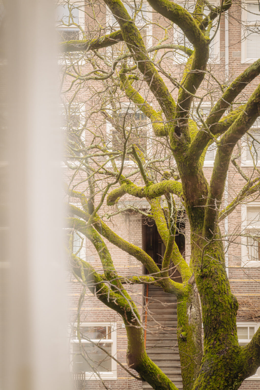 Milletstraat 27-1, Amsterdam - Afbeelding 7