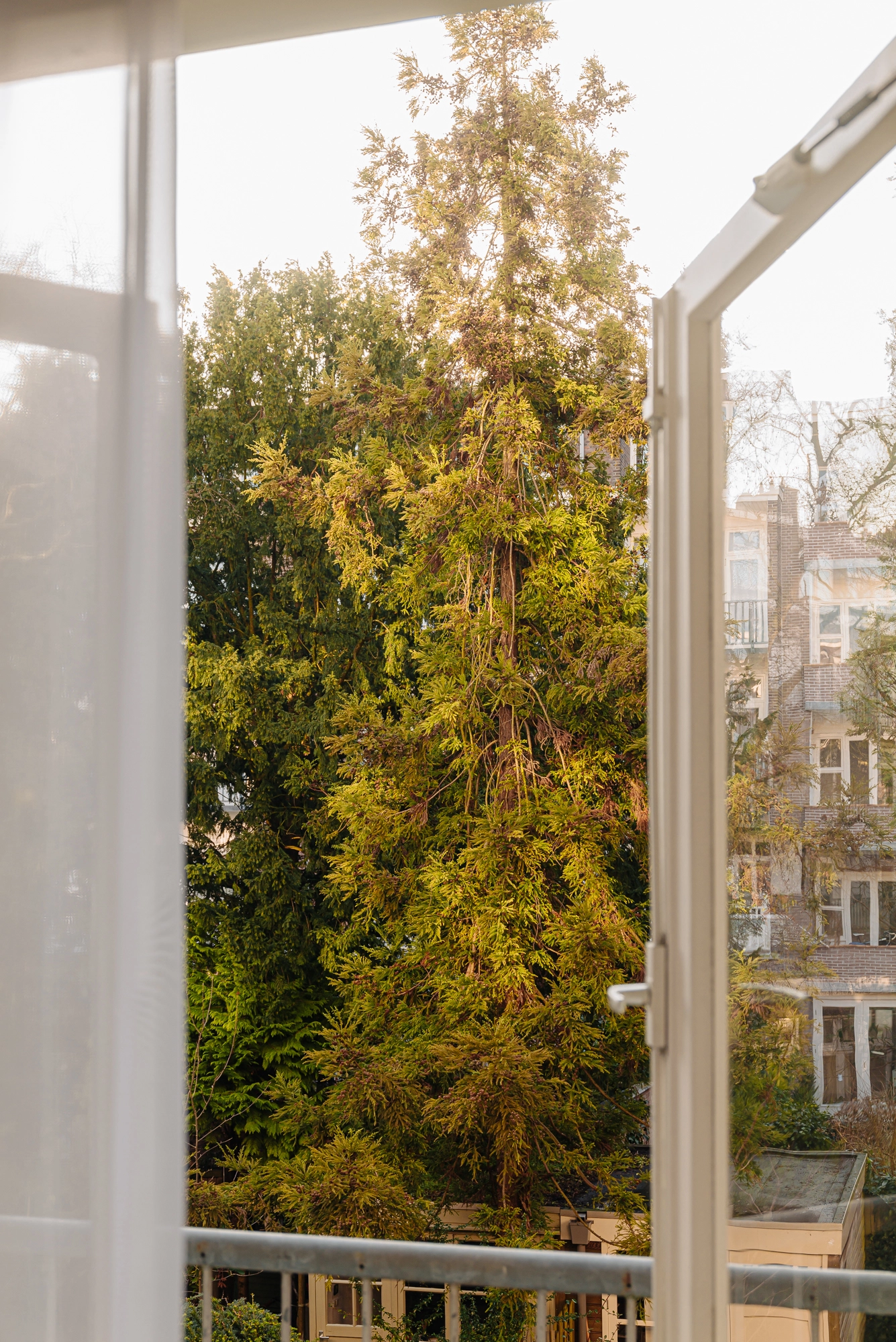 AM105857-1966244-Milletstraat-51-1,-Amsterdam-213879411