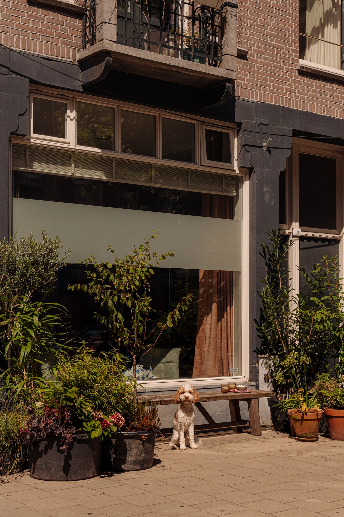 AM105929-1946970-Eerste-Oosterparkstraat-9H,-Amsterdam-207200635