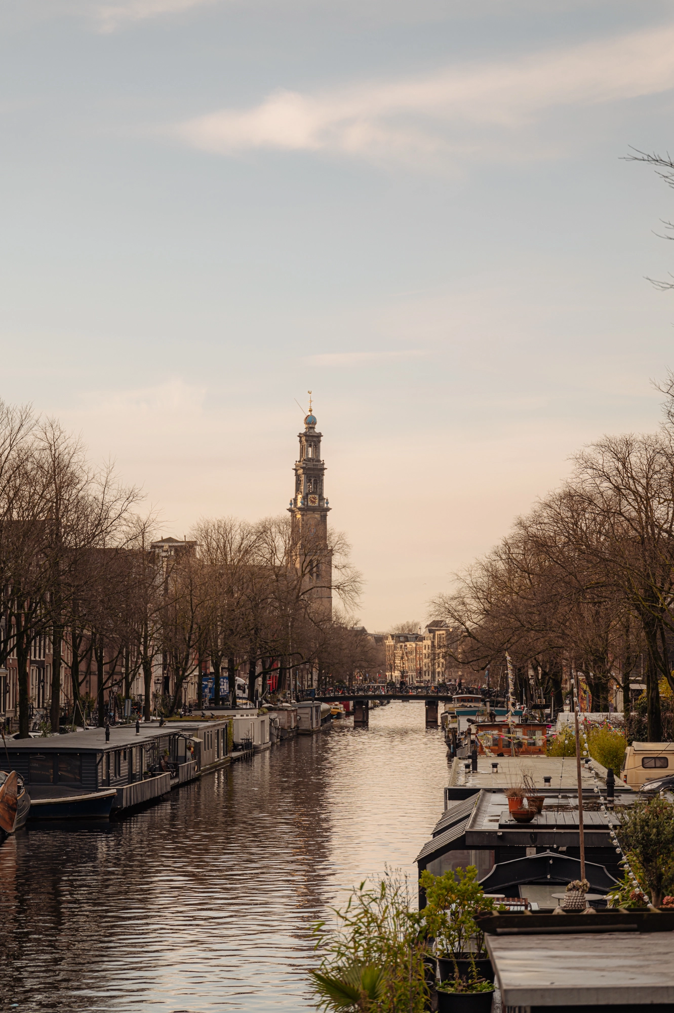 AM105935-1951592-Westerstraat-79-3,-Amsterdam-213001293