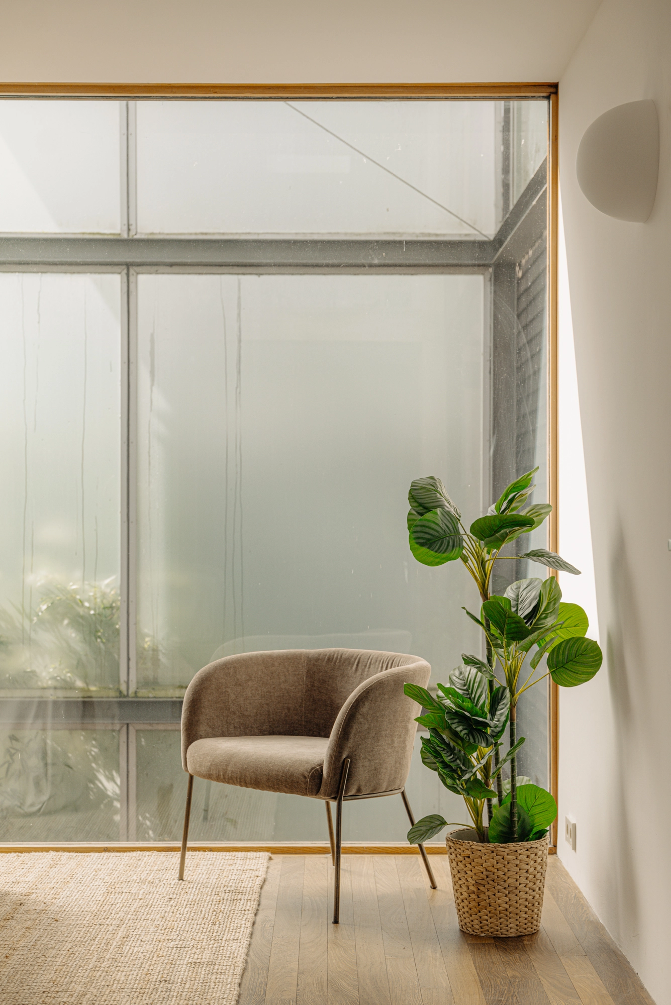 AM105940-2018382-Seinwachterstraat-27,-Amsterdam-232564228