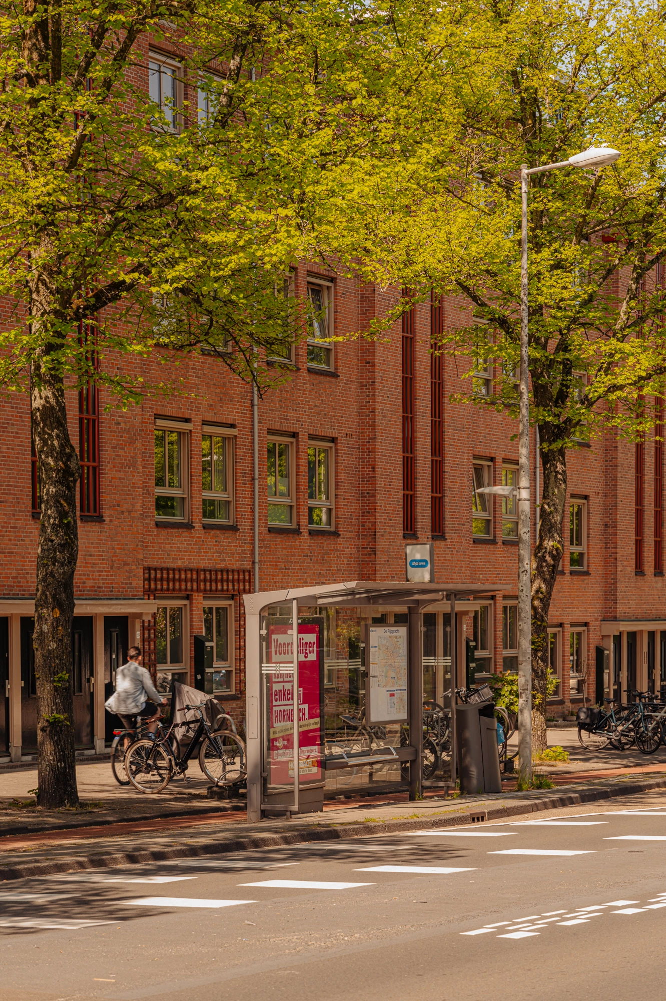 AM105945-2008974-Willem-de-Zwijgerlaan-243A,-Amsterdam-227749670